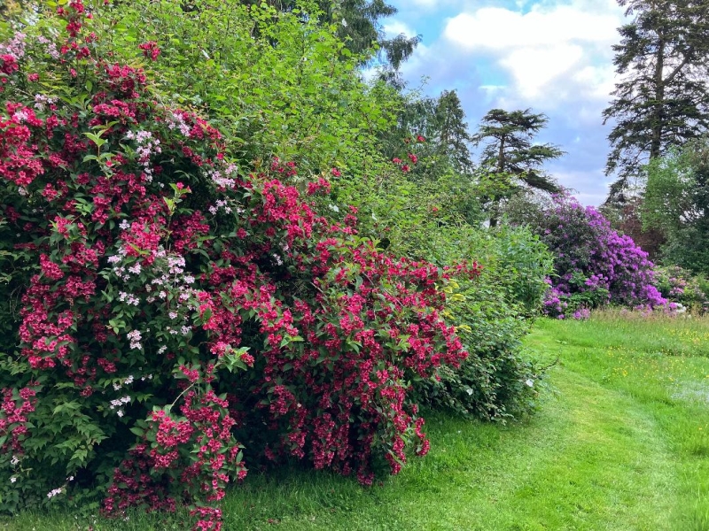 Ashridge Court